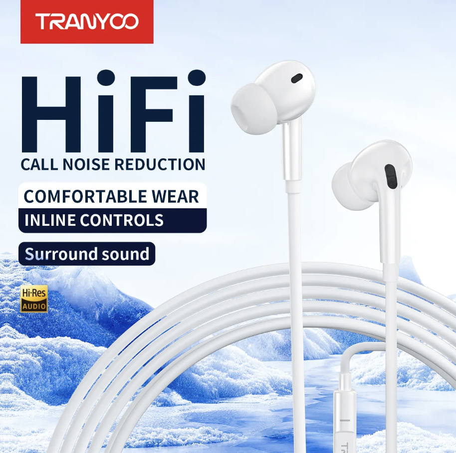 Hifi In Ear Earphones Type C (Original Tranyoo)