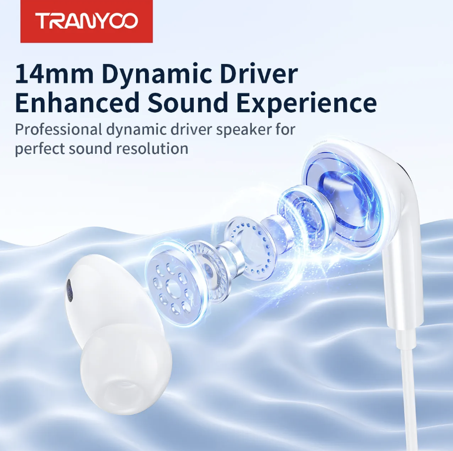 Hifi In Ear Earphones Type C (Original Tranyoo)
