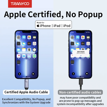 Audio Cable lightning to 3.5mm AUX (Original Tranyoo)
